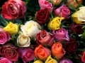 Valentines Day