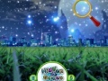 Hidden Stars Night Beauty