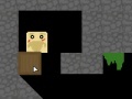 The Cave