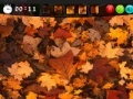 Autumn Hidden Images