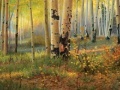 Hidden coins in the forest