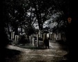 Ask The Spirits II