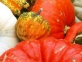 Hidden Objects-Pumpkin Show
