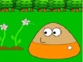 Puzzle Pou in Garden