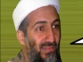 Snookie vs Bin Laden