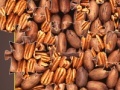 Pecan Mosaic Jigsaw