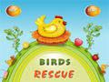 Birds Rescue