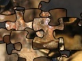 Puzzle of the American toad