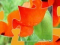 Oriental Poppy Jigsaw