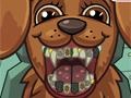 Pet Crazy Dentist