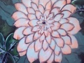 Dahlia Slider