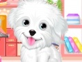 Fluffy puppy pet: Spa and care