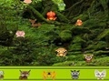 Hidden Animals