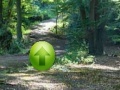 Puzzle forest escape