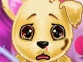 Injured Puppy