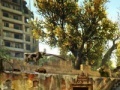 The Abandoned Neighbourhood