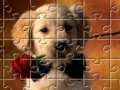 Puzzles Little Puppy