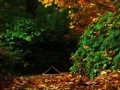 October escape