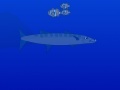 Barracuda attack