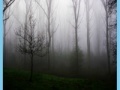Morning mist jigsaw