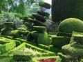 Hidden Target-Garden