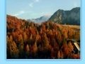 Slovenia jigsaw