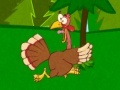 Turkey forest survival escape day 4