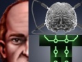 Berts Brain