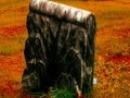Fall graveyard escape