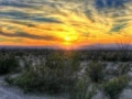Big Bend Desert Jigsaw