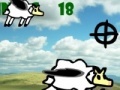 Shooting cows
