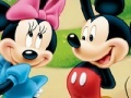 Mickey and minnie difference