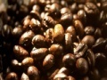 Coffee beans slider