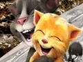 Talking Tom and Ginger Sledging