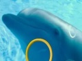 Dolphin Tale 2 Hidden Alphabets