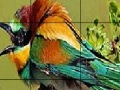 Two Amazing Bird Puzzle