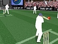 Cricket