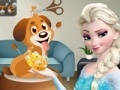 Elsa. Dog care