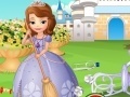Princess Sofia cleans