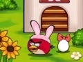 Angry Birds Egg Saving