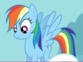 My Little Pony: Rainbow Dash Puzzles
