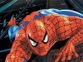 Spider-Man: Puzzles