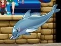 My dolphin show 6