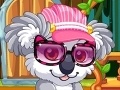 Star pupils: Pleasant koala