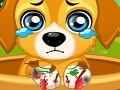 Paw Doctor
