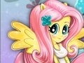 Equestria Girls: Fluttershy - Caring for pets