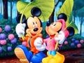 Mickey Love-HS