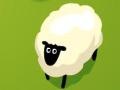 Count Sheep