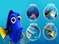 Dory's Memory 