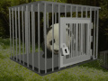 Baby Panda Escape 